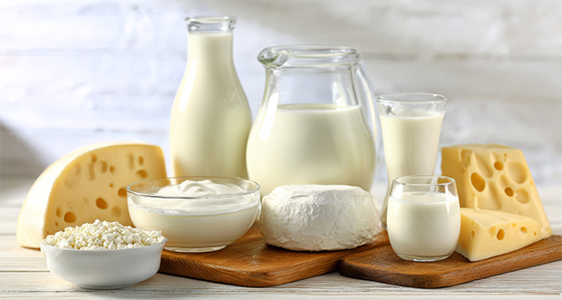 乳製品